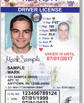 teen driver license